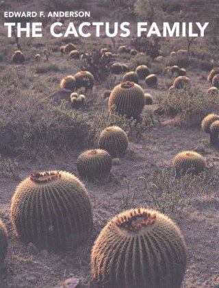 The Cactus Family