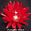 Jungle Red