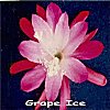 Grape Ice