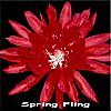 Spring Fling