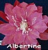 Albertine