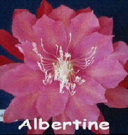 Albertine