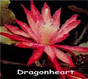 Dragonheart