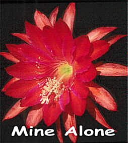 Mine Alone